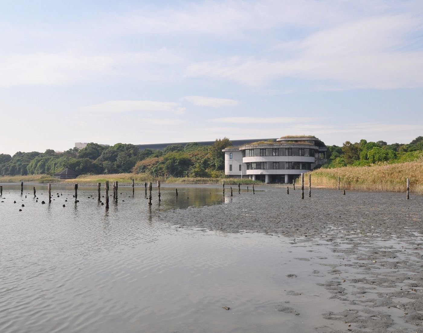🐦 도쿄항 야조 공원(도쿄코 야초 코엔) 이미지 9